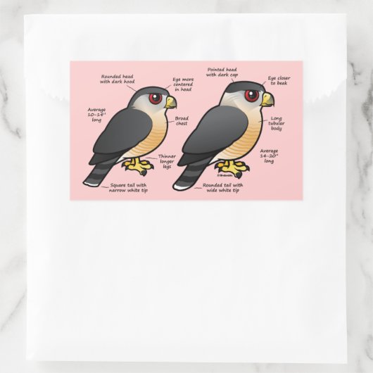 Coop / Sharpie Rechteckiger Aufkleber (Tasche)