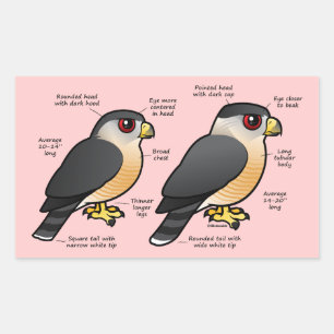 Coop / Sharpie Rechteckiger Aufkleber