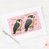 Coop / Sharpie Rechteckiger Aufkleber (Umschlag)