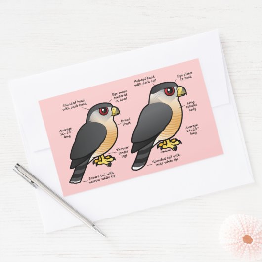 Coop / Sharpie Rechteckiger Aufkleber (Umschlag)