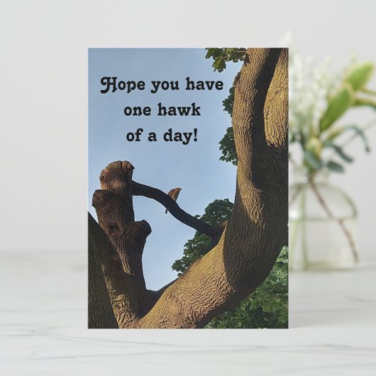 Cooper Hawk Well Wünsche Card (Stehend Vorderseite)