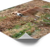 Cooper Poster (Ecke)