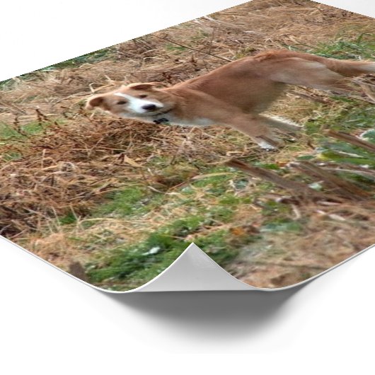 Cooper Poster (Ecke)