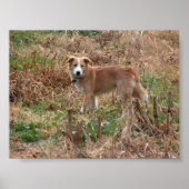 Cooper Poster (Vorne)