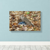 Cooper's Falken mit Beute Leinwanddruck (Insitu (Holzboden))