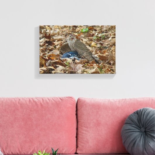 Cooper's Falken mit Beute Leinwanddruck (Insitu (Wohnzimmer))