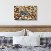 Cooper's Falken mit Beute Leinwanddruck (Insitu (Schlafzimmer))