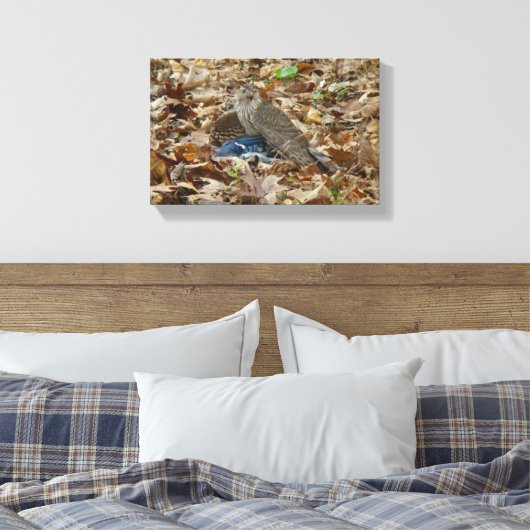 Cooper's Falken mit Beute Leinwanddruck (Insitu (Schlafzimmer))