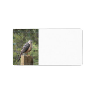 Cooper's Hawk Address Label Adressaufkleber