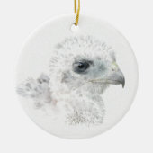Coopers Hawk Chick Keramik Ornament (Vorne)