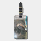 Coopers Hawk Gepäckanhänger (Vorderseite vertikal)