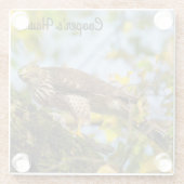Cooper's Hawk Glasuntersetzer (Rückseite)