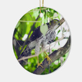 "Coopers Hawk in the Grapevine" Keramik Ornament (Links)