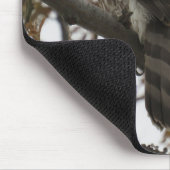 Cooper's Hawk in Tree Your Initials Mouse Pad Mousepad (Ecke)