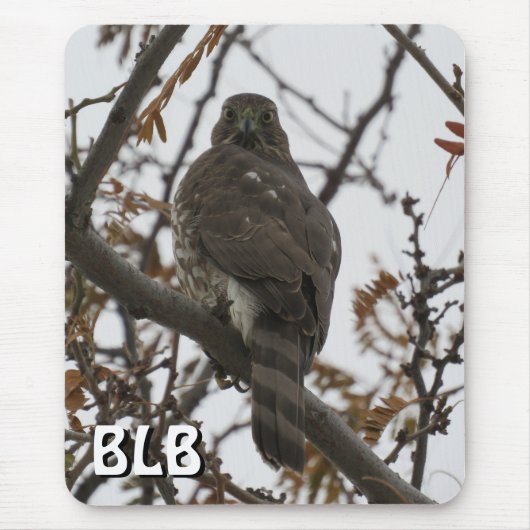 Cooper's Hawk in Tree Your Initials Mouse Pad Mousepad (Vorne)