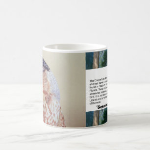 Coopers Hawk Kaffeetasse