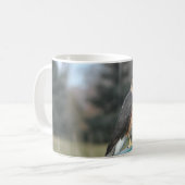 Coopers Hawk Kaffeetasse (Vorderseite Links)