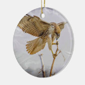 Coopers Hawk Keramik Ornament (Links)