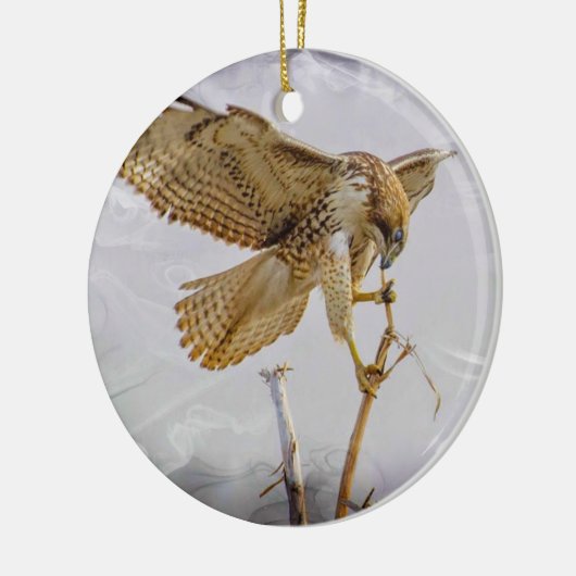 Coopers Hawk Keramik Ornament (Links)