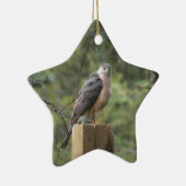 Cooper's Hawk Keramikornament (Rechts)