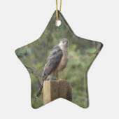Cooper's Hawk Keramikornament (Links)