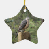 Cooper's Hawk Keramikornament (Hinten)
