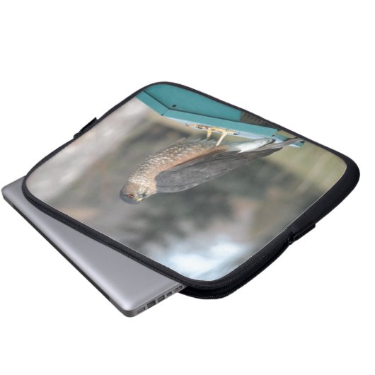 Coopers Hawk Laptopschutzhülle (Vorne Knopf)