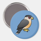 Cooper's Hawk Magnet (Vorderseite/Rückseite)