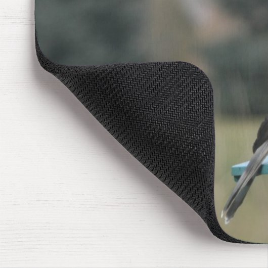 Coopers Hawk Mousepad (Ecke)