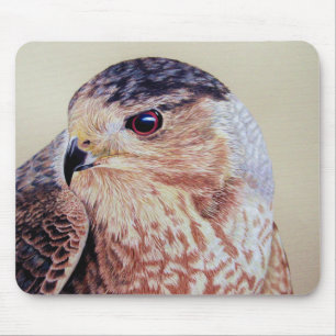 Coopers Hawk Mousepad