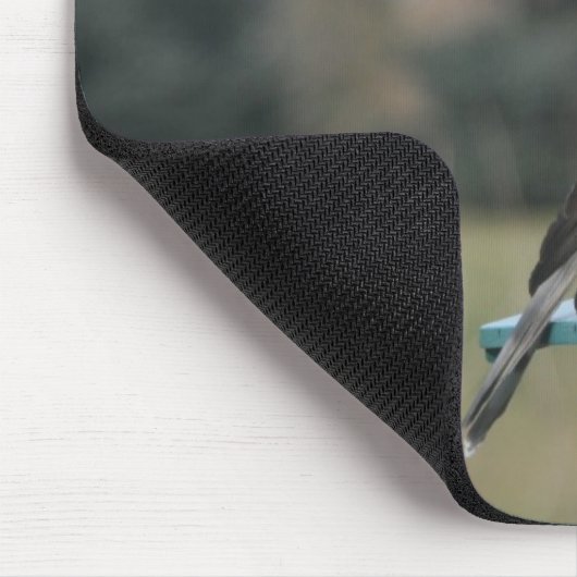 Coopers Hawk Mousepad (Ecke)