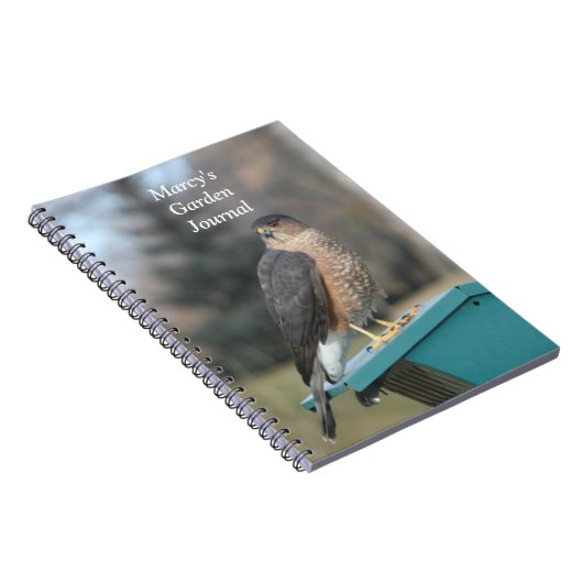 Coopers Hawk Notizblock (Rechte Seite)