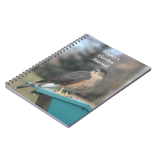 Coopers Hawk Notizblock (Linke Seite)