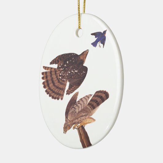 Cooper's Hawk Oval Weihnachtsschmuck (Links)