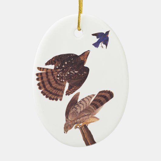 Cooper's Hawk Oval Weihnachtsschmuck (Vorne)