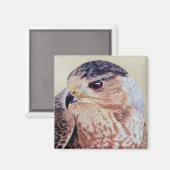 Coopers Hawk Portrait Magnet (Vorderseite/Rückseite)