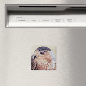 Coopers Hawk Portrait Magnet (In Situ (Geschirrspüler))