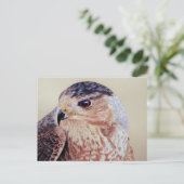 Coopers Hawk Portrait Postkarte (Stehend Vorderseite)