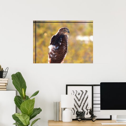 Cooper's Hawk Poster (Heimbüro)