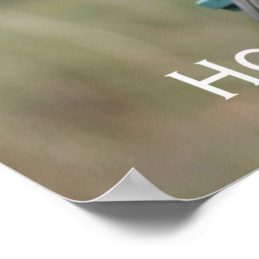 Coopers Hawk Poster (Ecke)