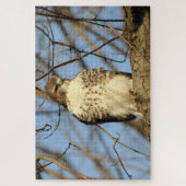 Cooper's Hawk Puzzle (Vertikal)