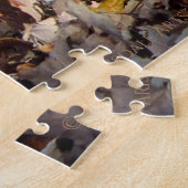 Cooper's Hawk Puzzle (Seite)