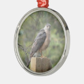 Cooper's Hawk Silbernes Ornament (Links)