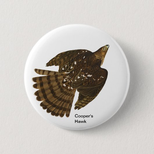 Coopers Hawk von John James Audubon, Hawk Bird Button (Vorderseite)