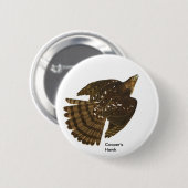 Coopers Hawk von John James Audubon, Hawk Bird Button (Vorne & Hinten)