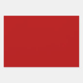 Coordinierte Weihnachts-Red-Kardinal-Verpackung Geschenkpapier Set (Vorderseite 2)