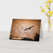 Coorong Pelican on Dusk Karte (Gelbe Blume)