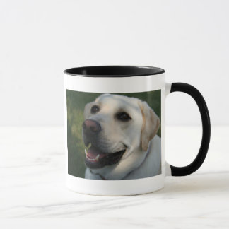 COORS TASSE