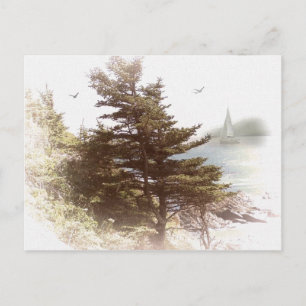 Coos Bay Oregon Postkarte