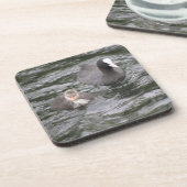 Coot and Chick Cork Untersetzer (Linke Seite)